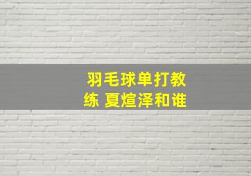 羽毛球单打教练 夏煊泽和谁